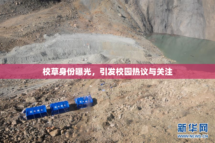 校草身份曝光，引发校园热议与关注