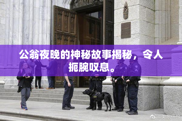 公翁夜晚的神秘故事揭秘，令人扼腕叹息。