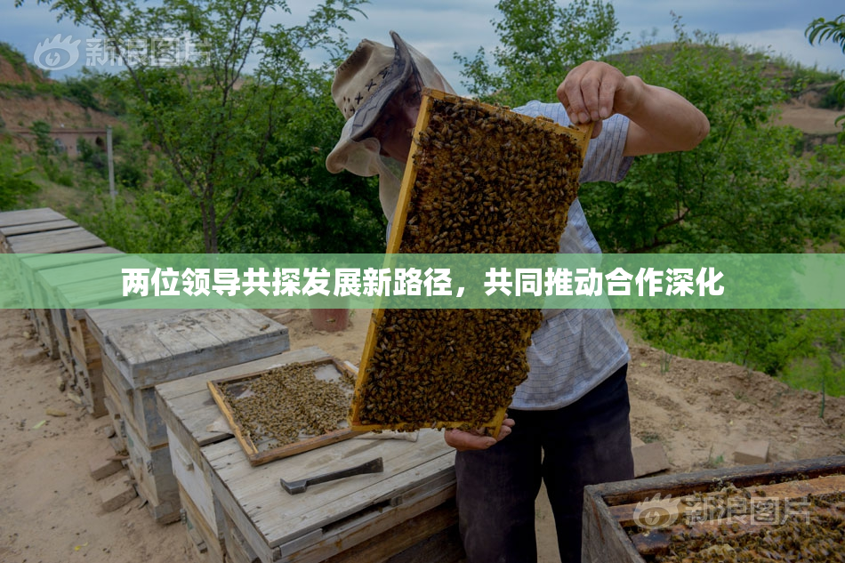 两位领导共探发展新路径，共同推动合作深化