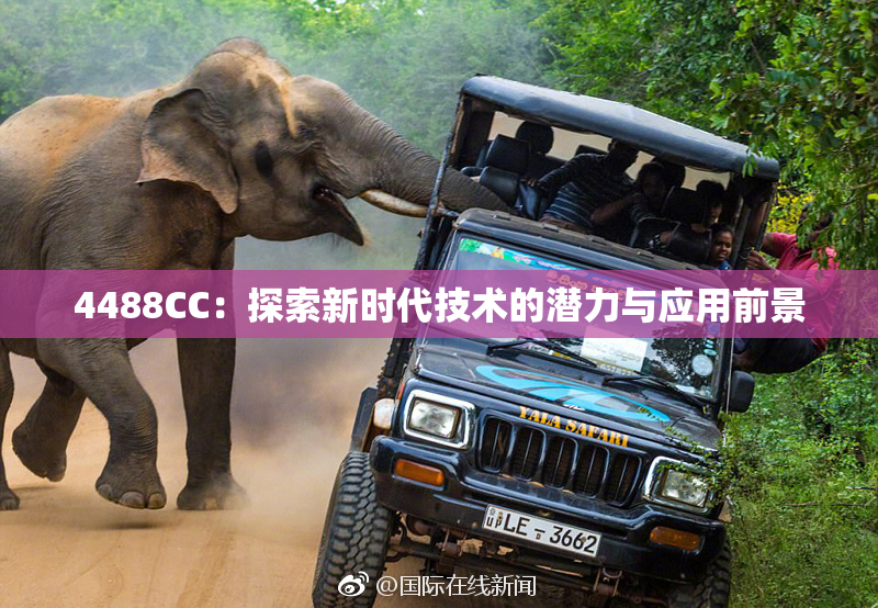 4488CC：探索新时代技术的潜力与应用前景