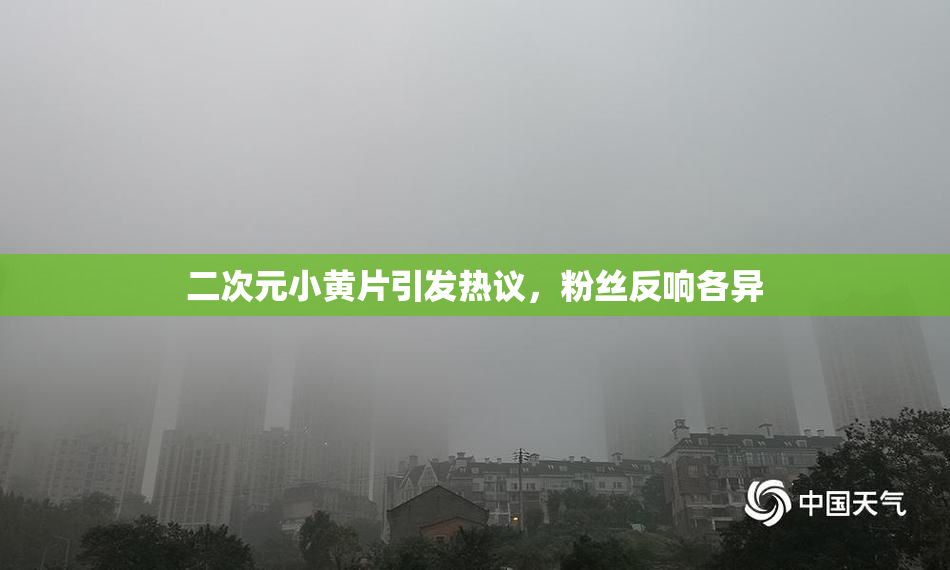 二次元小黄片引发热议，粉丝反响各异