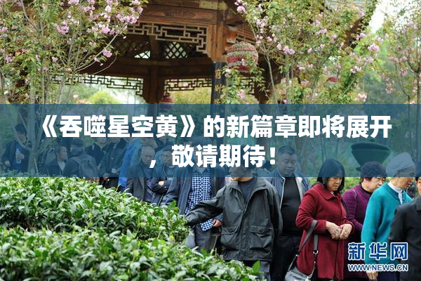 《吞噬星空黄》的新篇章即将展开，敬请期待！