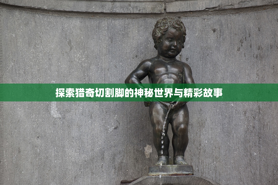 探索猎奇切割脚的神秘世界与精彩故事