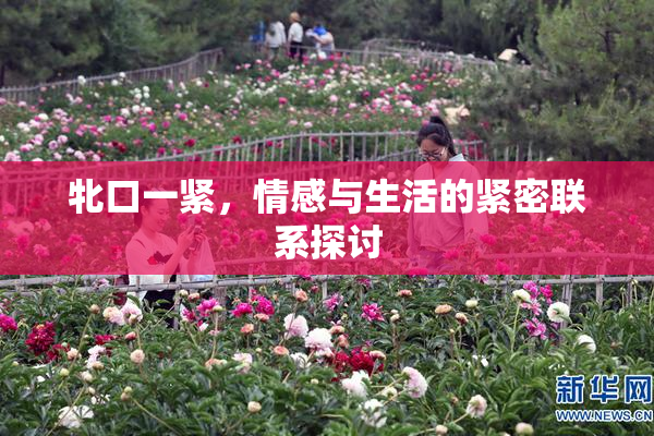 牝口一紧，情感与生活的紧密联系探讨