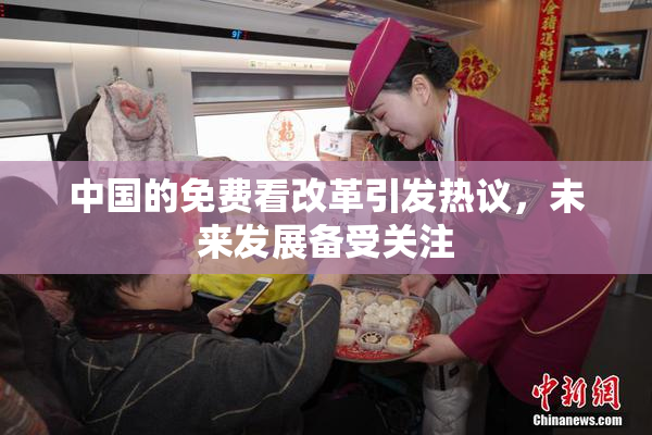 中国的免费看改革引发热议，未来发展备受关注