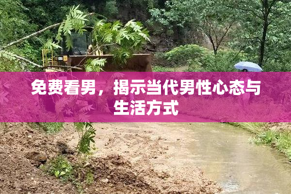 免费看男，揭示当代男性心态与生活方式