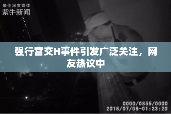 强行宫交H事件引发广泛关注，网友热议中