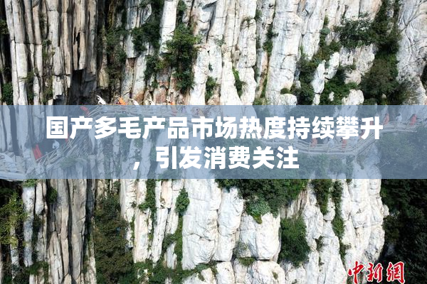 国产多毛产品市场热度持续攀升，引发消费关注