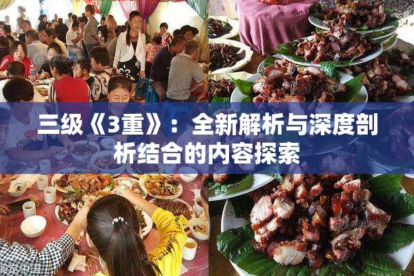 三级《3重》：全新解析与深度剖析结合的内容探索
