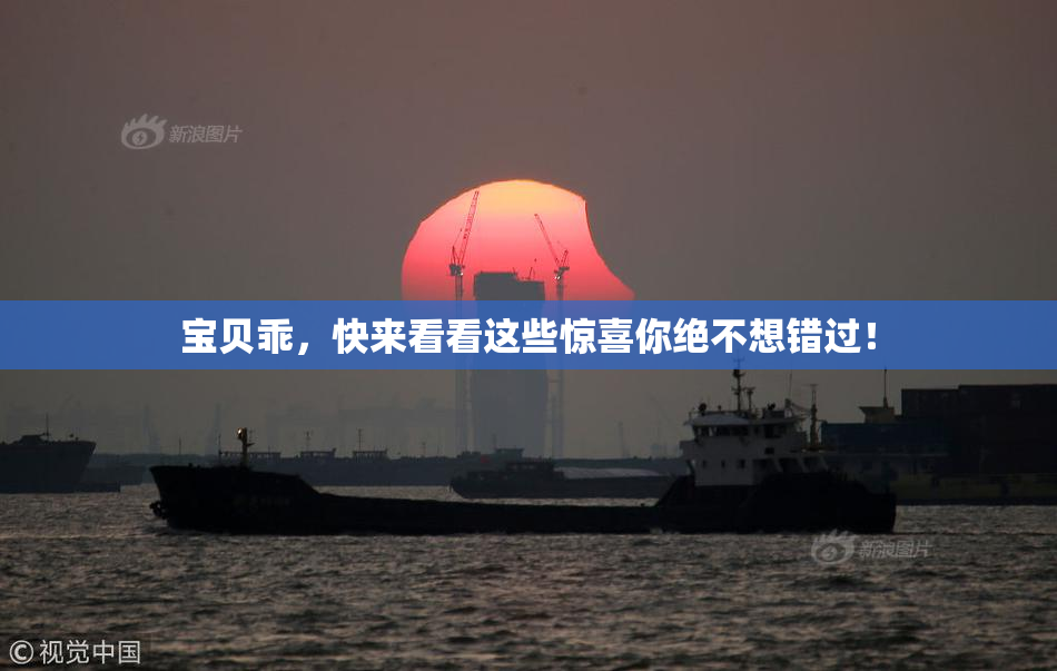 宝贝乖，快来看看这些惊喜你绝不想错过！