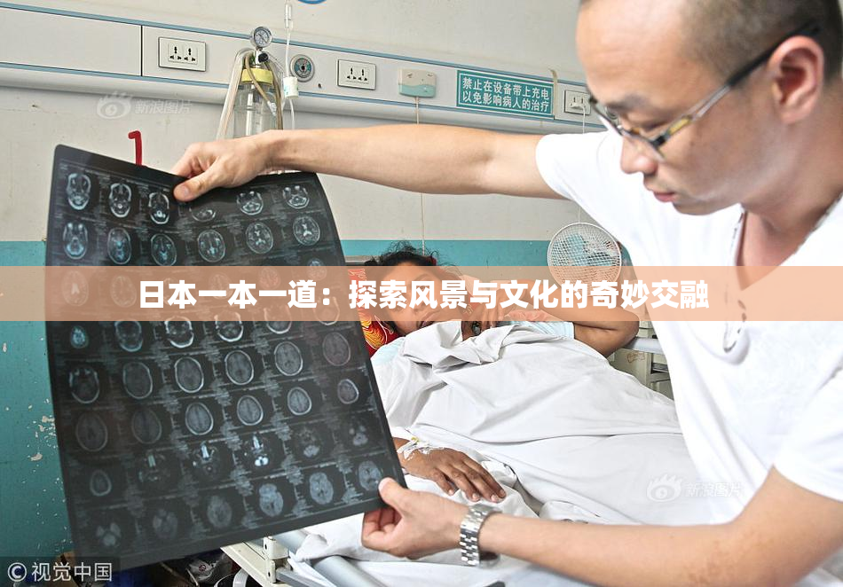 日本一本一道：探索风景与文化的奇妙交融