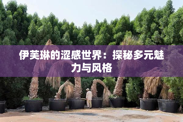伊芙琳的涩感世界：探秘多元魅力与风格