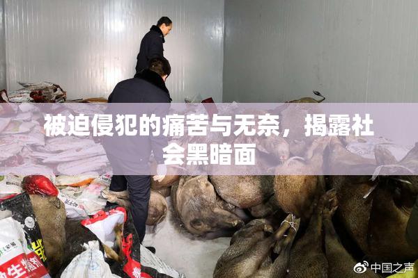 被迫侵犯的痛苦与无奈，揭露社会黑暗面
