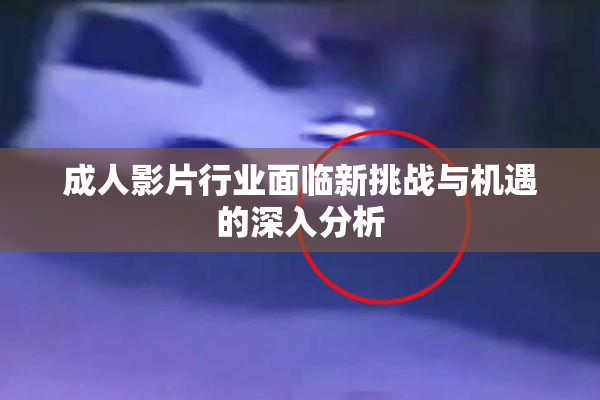 成人影片行业面临新挑战与机遇的深入分析