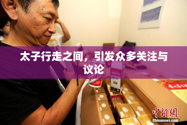 太子行走之间，引发众多关注与议论