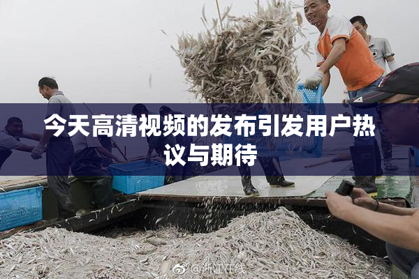 今天高清视频的发布引发用户热议与期待