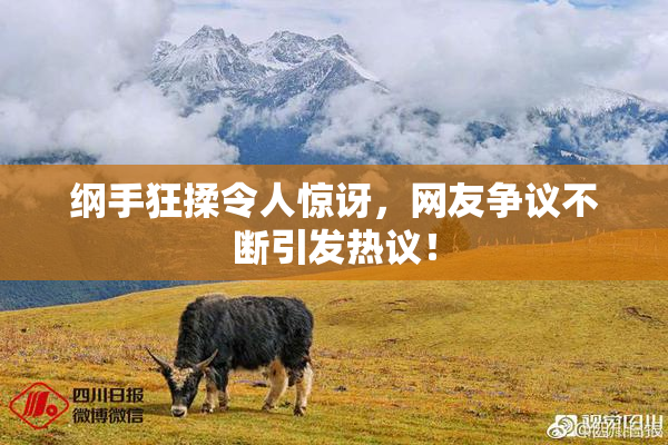纲手狂揉令人惊讶，网友争议不断引发热议！