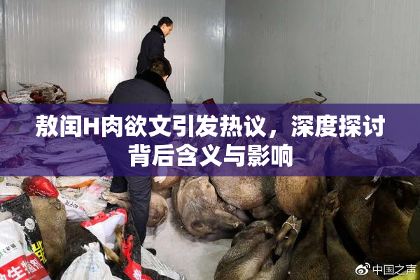 敖闰H肉欲文引发热议，深度探讨背后含义与影响