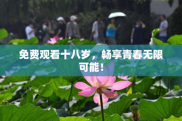 免费观看十八岁，畅享青春无限可能！
