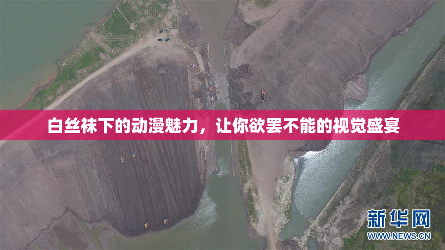 白丝袜下的动漫魅力，让你欲罢不能的视觉盛宴