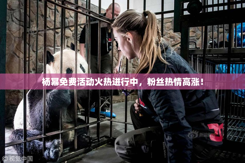 杨幂免费活动火热进行中，粉丝热情高涨！