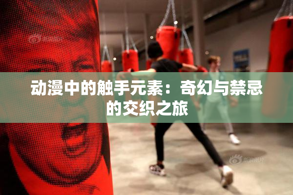 动漫中的触手元素：奇幻与禁忌的交织之旅