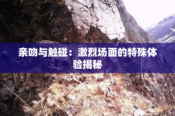 亲吻与触碰：激烈场面的特殊体验揭秘