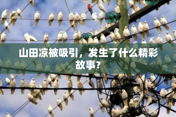 山田凉被吸引，发生了什么精彩故事？