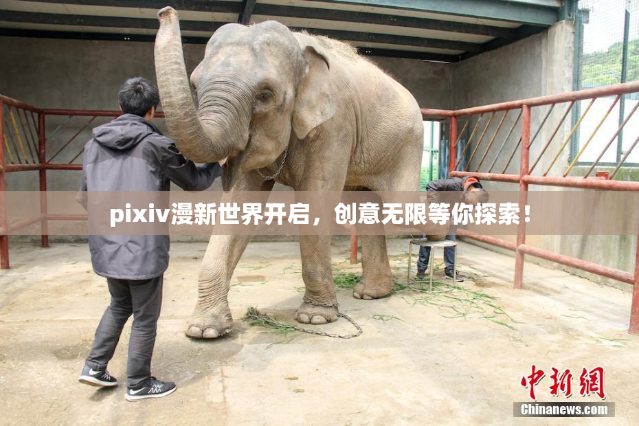 pixiv漫新世界开启，创意无限等你探索！