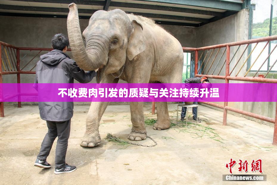 不收费肉引发的质疑与关注持续升温