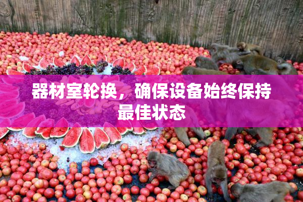 器材室轮换，确保设备始终保持最佳状态