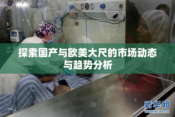 探索国产与欧美大尺的市场动态与趋势分析