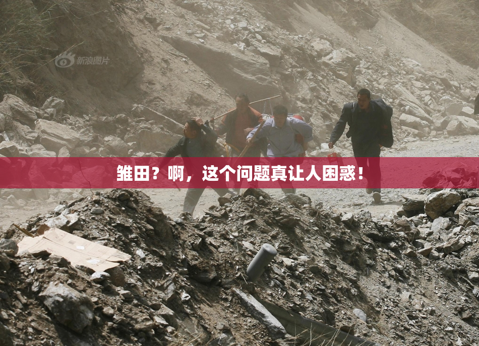 雏田？啊，这个问题真让人困惑！