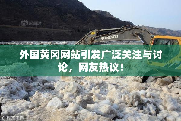 外国黄冈网站引发广泛关注与讨论，网友热议！