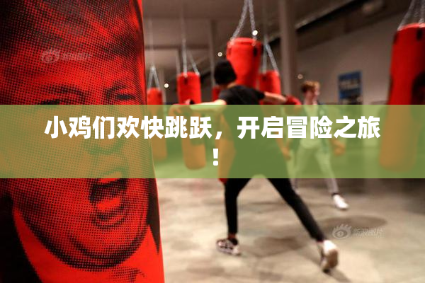 小鸡们欢快跳跃，开启冒险之旅！