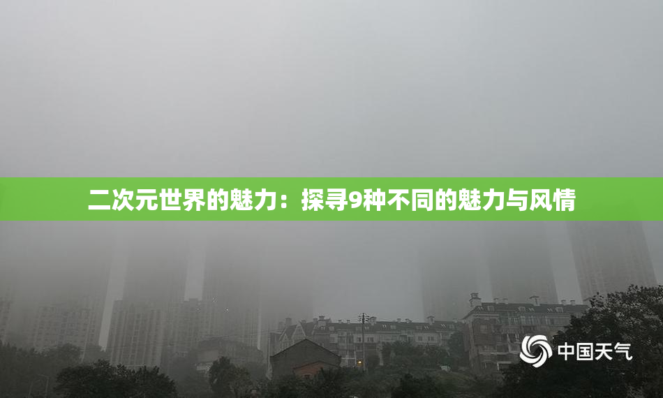 二次元世界的魅力：探寻9种不同的魅力与风情