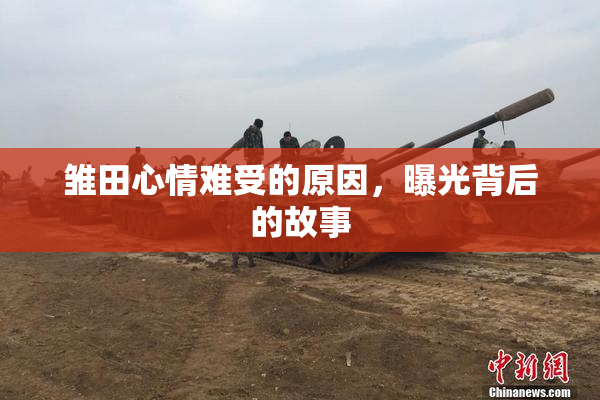 雏田心情难受的原因，曝光背后的故事