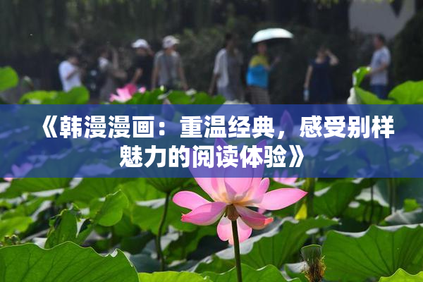 《韩漫漫画：重温经典，感受别样魅力的阅读体验》