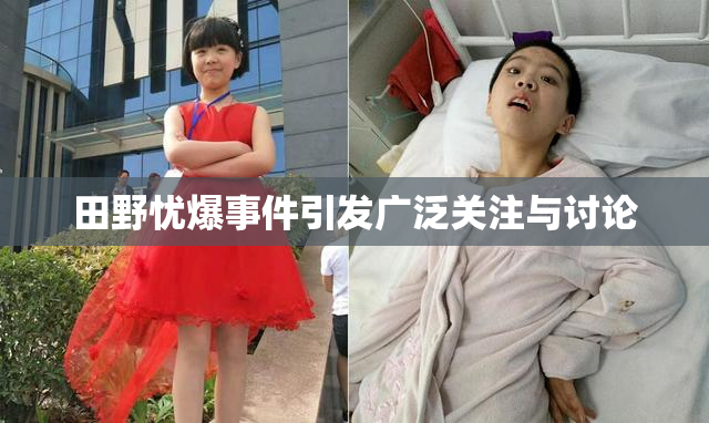 田野忧爆事件引发广泛关注与讨论