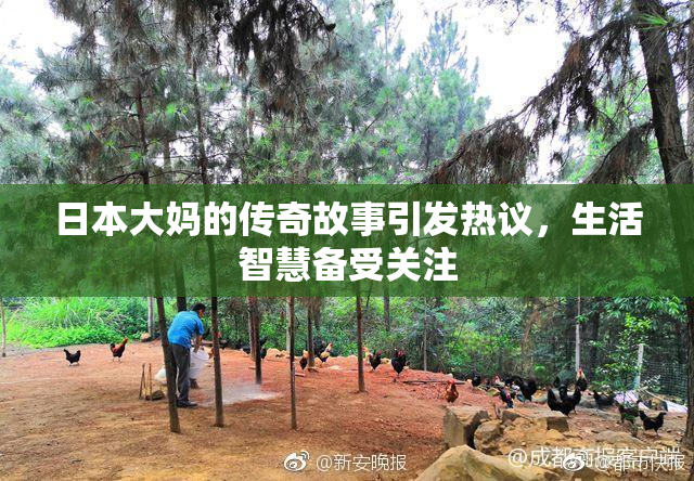 日本大妈的传奇故事引发热议，生活智慧备受关注