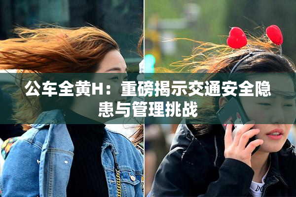 公车全黄H：重磅揭示交通安全隐患与管理挑战