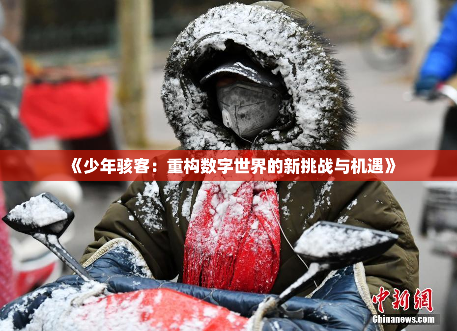 《少年骇客：重构数字世界的新挑战与机遇》