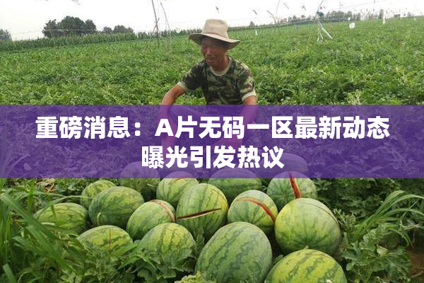重磅消息：A片无码一区最新动态曝光引发热议