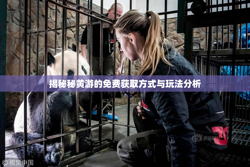 揭秘秘黄游的免费获取方式与玩法分析