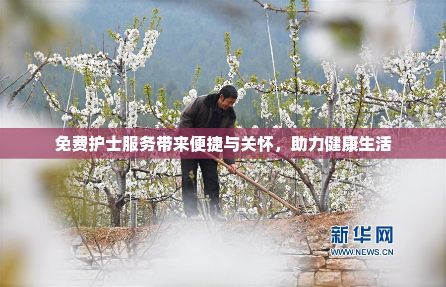 免费护士服务带来便捷与关怀，助力健康生活