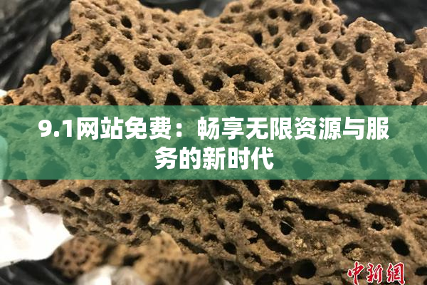 9.1网站免费：畅享无限资源与服务的新时代