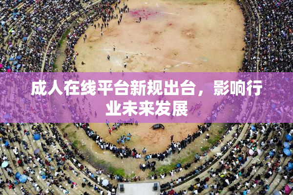 成人在线平台新规出台，影响行业未来发展