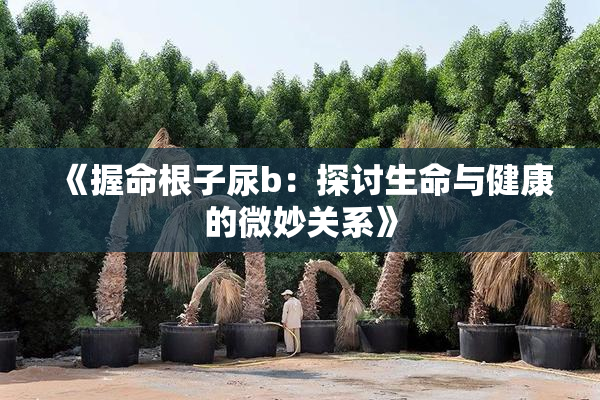 《握命根子尿b：探讨生命与健康的微妙关系》