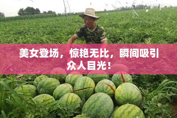 美女登场，惊艳无比，瞬间吸引众人目光！