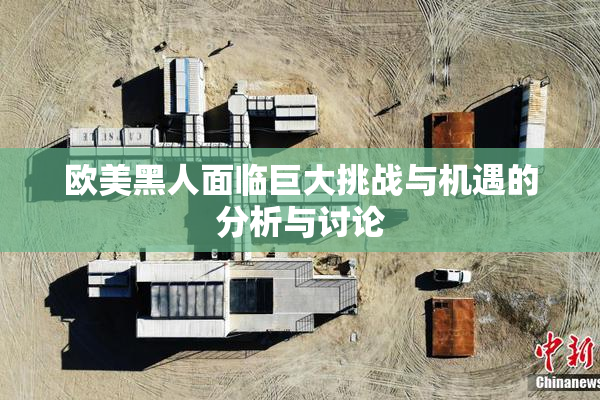 欧美黑人面临巨大挑战与机遇的分析与讨论